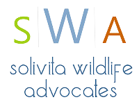 SWA LOGO 2023_web